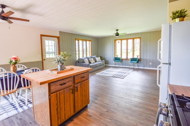 11768 Riker Rd, Litchfield, MI 49252 - kitchen featuring a ceiling fan, butcher block countertops, light wood-type flooring, a kitchen island, and wooden walls
