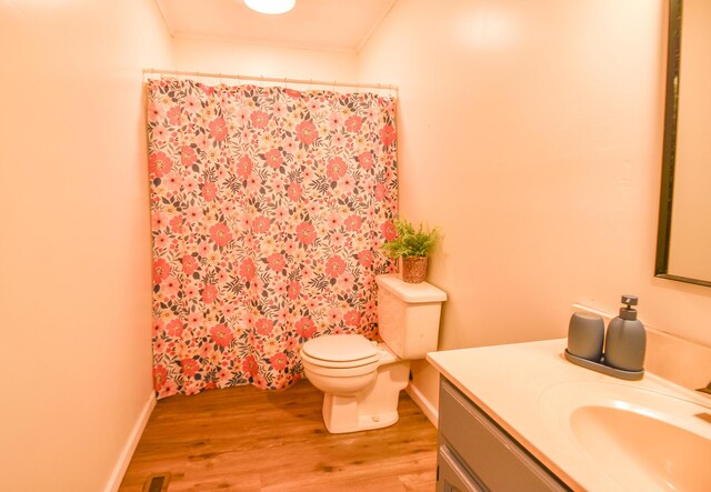 11768 Riker Rd, Litchfield, MI 49252 - bathroom featuring vanity, toilet, wood finished floors, a shower with shower curtain, and baseboards