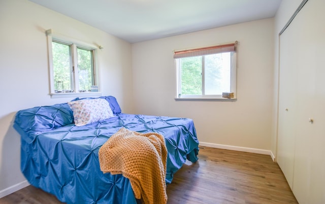 11768 Riker Rd, Litchfield, MI 49252 - bedroom featuring multiple windows, wood finished floors, a closet, and baseboards