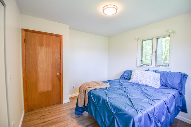 11768 Riker Rd, Litchfield, MI 49252 - bedroom featuring light wood-style floors and baseboards