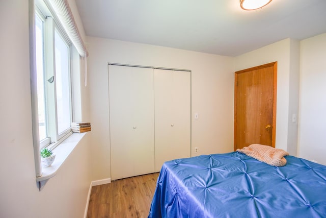 11768 Riker Rd, Litchfield, MI 49252 - bedroom featuring light wood finished floors and a closet
