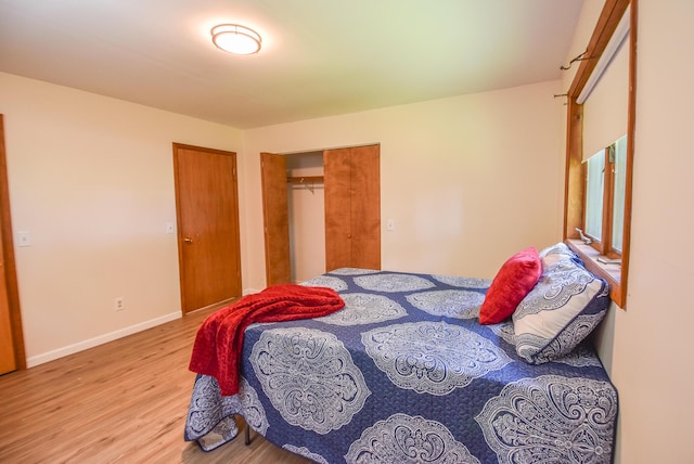 11768 Riker Rd, Litchfield, MI 49252 - bedroom featuring wood finished floors, a closet, and baseboards