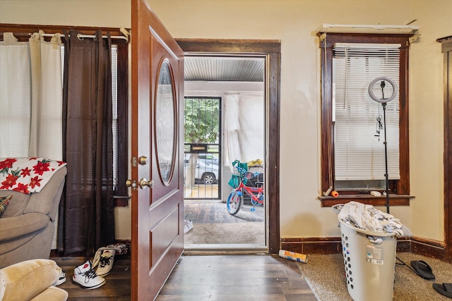 foyer entrance featuring dark hardwood / wood-style floors