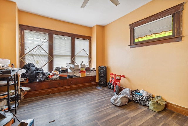 miscellaneous room with dark wood-type flooring