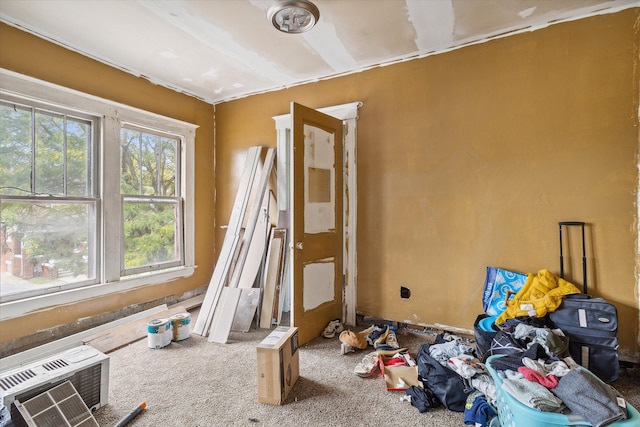 miscellaneous room with carpet flooring