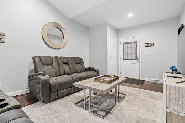 living room featuring wood-type flooring