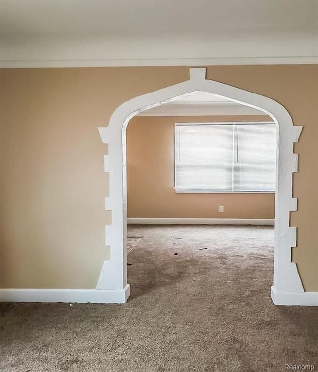 spare room featuring carpet and crown molding