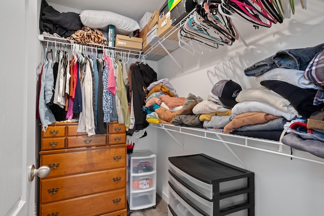 spacious closet featuring hardwood / wood-style floors