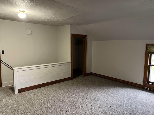 additional living space featuring carpet flooring, a textured ceiling, and lofted ceiling