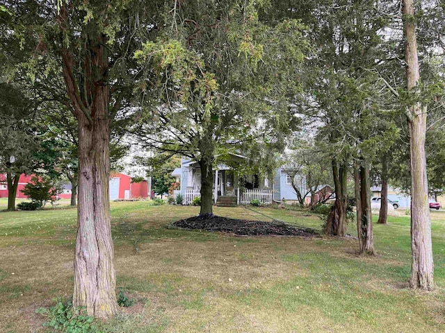 view of yard with covered porch