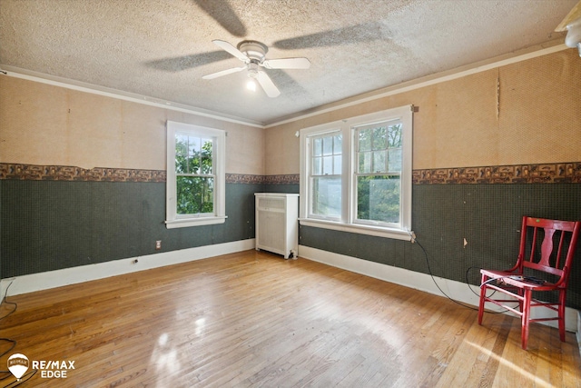 interior space with ceiling fan, hardwood / wood-style floors, and a textured ceiling