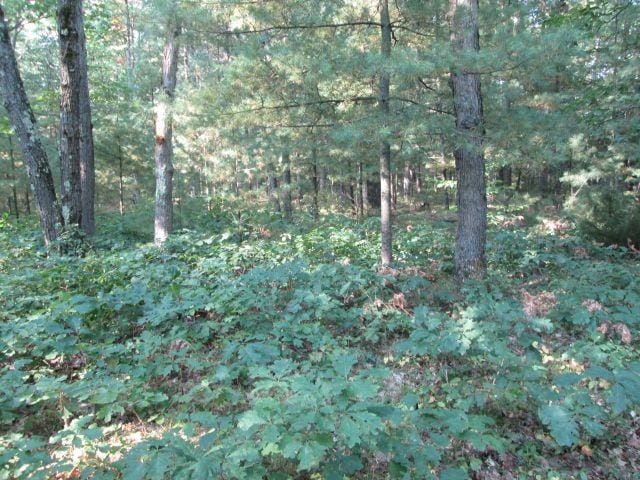 LOT137 Tabor Ave, Interlochen MI, 49643 land for sale