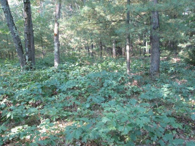 Listing photo 3 for LOT137 Tabor Ave, Interlochen MI 49643