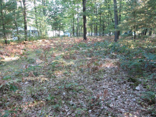 LOT137 Tabor Ave, Interlochen, MI 49643