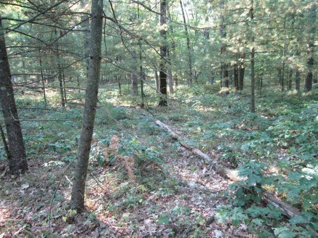 Listing photo 2 for LOT137 Tabor Ave, Interlochen MI 49643