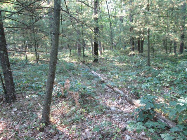 LOT137 Tabor Ave, Interlochen, MI 49643