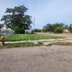 3409 Williams St, Detroit, MI 48208