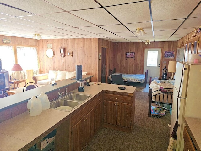 kitchen featuring plenty of natural light, wood walls, and sink