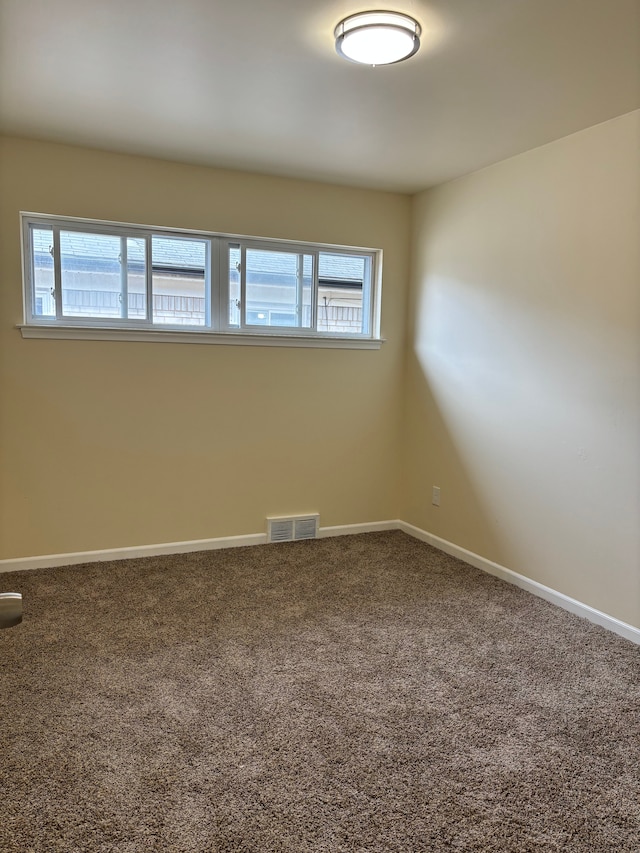 spare room with carpet flooring and a wealth of natural light