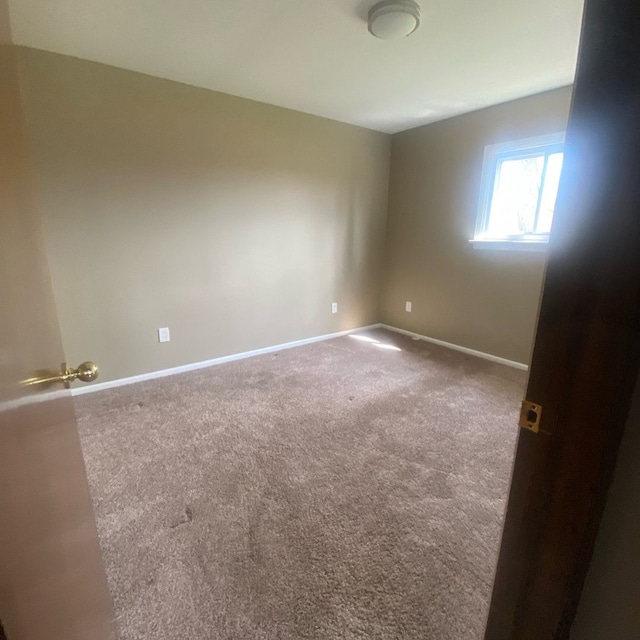 spare room with carpet