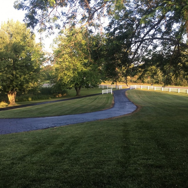 view of community featuring a lawn