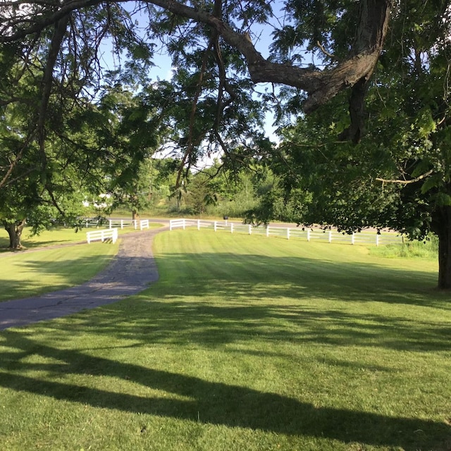 view of community featuring a yard