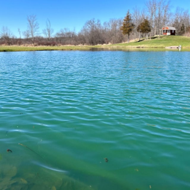 view of water feature