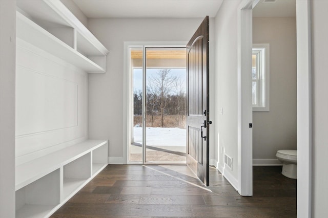 mudroom with dark hardwood / wood-style flooring