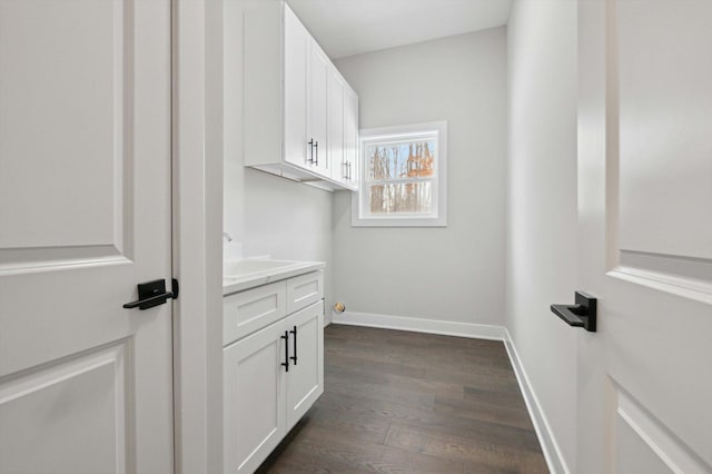 clothes washing area featuring sink and dark wood-type flooring