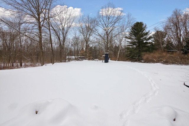 view of snowy yard