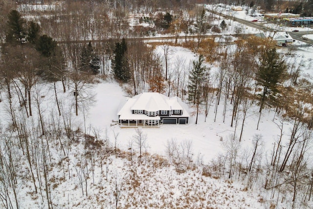 view of snowy aerial view