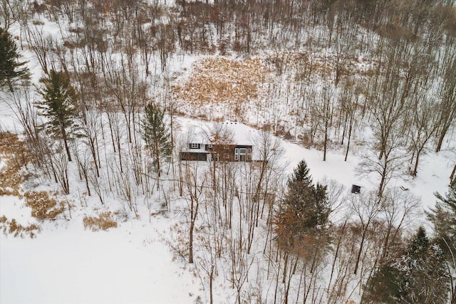 view of snowy aerial view