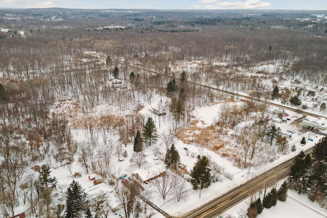 view of snowy aerial view