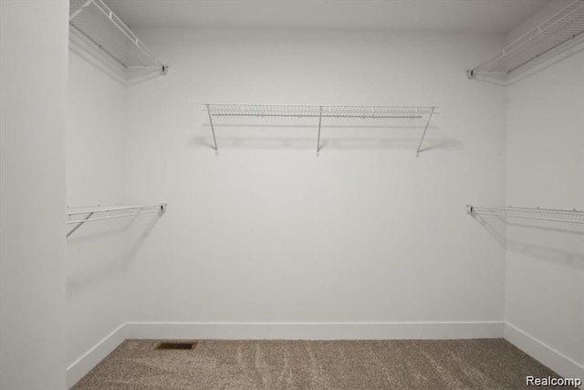 walk in closet featuring carpet flooring