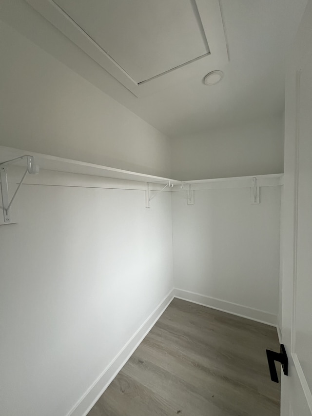 spacious closet featuring hardwood / wood-style flooring