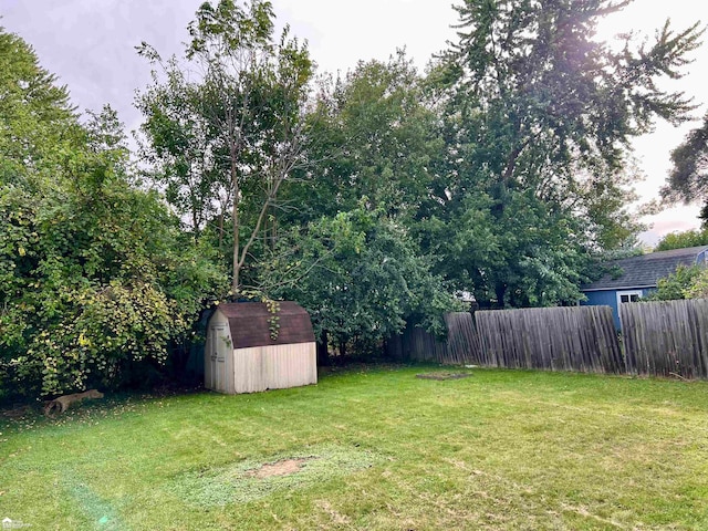 view of yard with a storage unit