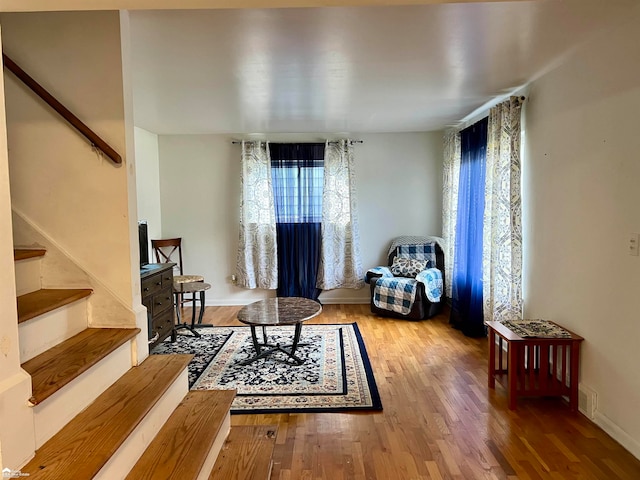 living room featuring hardwood / wood-style floors