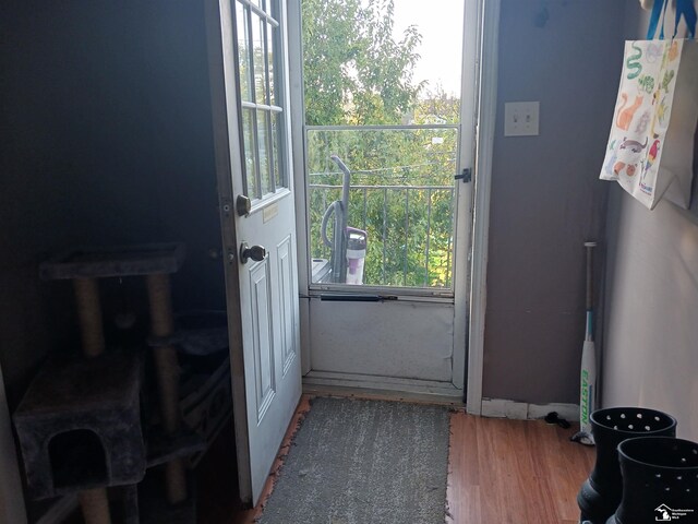 doorway with wood-type flooring