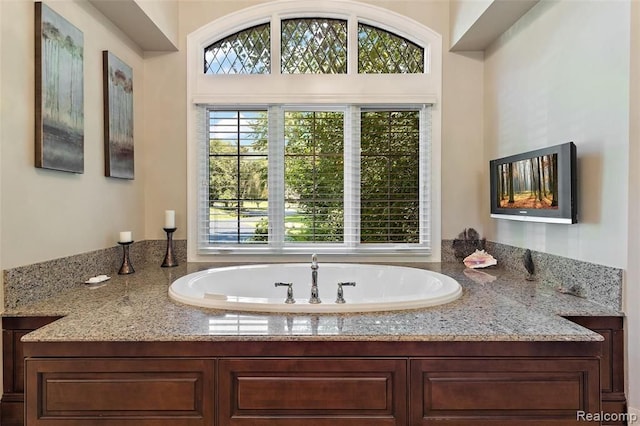 bathroom featuring a bathing tub and a healthy amount of sunlight