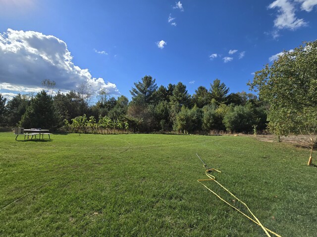 12259 Niemi, Kaleva, MI 49645 - view of grassy yard