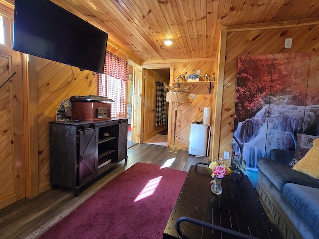 living room with plenty of natural light, wood ceiling, dark wood-type flooring, and wooden walls