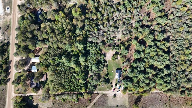 12259 Niemi, Kaleva, MI 49645 - aerial overview of property's location