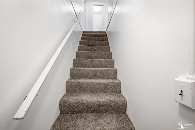 stairs featuring carpet flooring