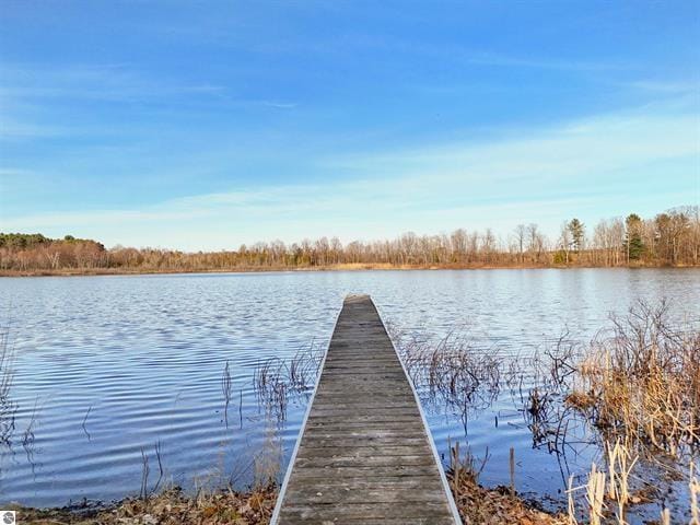 3900 Swaney Rd, Traverse City, MI 49686 - photo 11