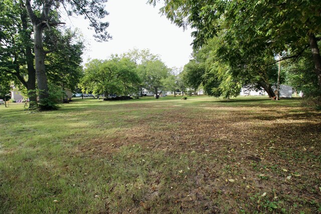 119 Andres St, Chesaning, MI 48616