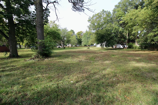 119 Andres St, Chesaning, MI 48616