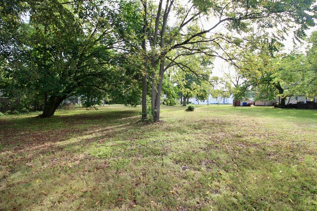 119 Andres St, Chesaning, MI 48616