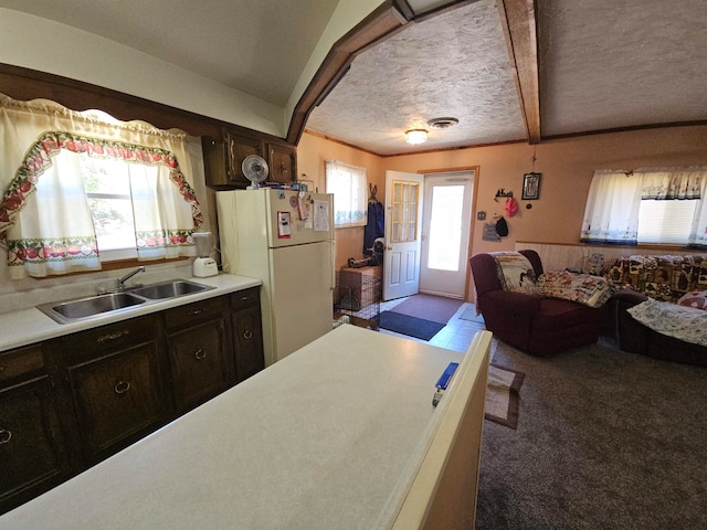 kitchen with carpet, white refrigerator, sink, and a wealth of natural light