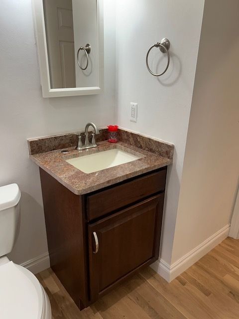 bathroom with vanity, wood-type flooring, and toilet