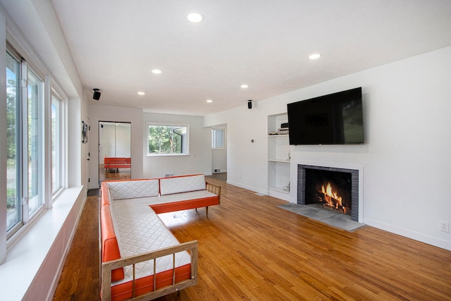 living room with wood-type flooring and a fireplace